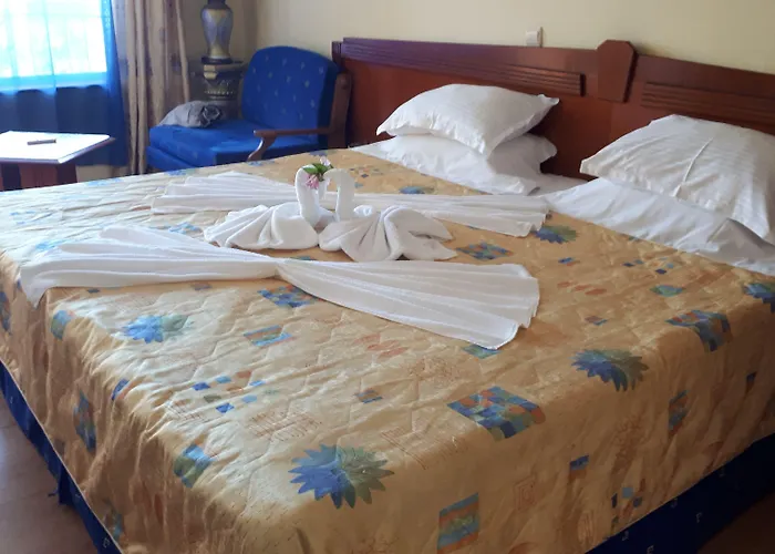 Evridika ネセバル